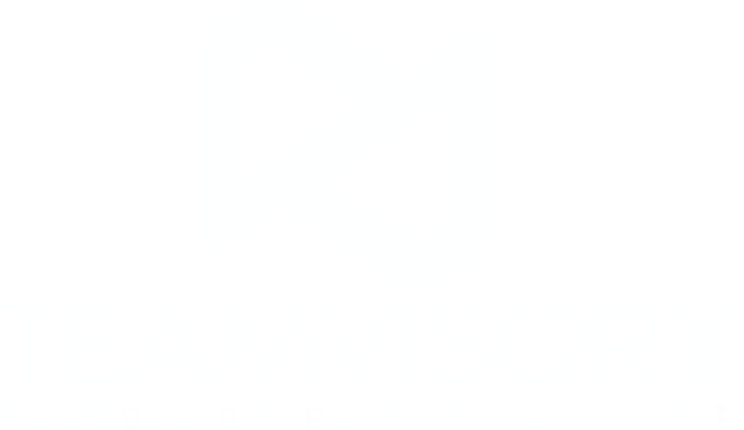 Teamvisory — Strategic and operational consultant